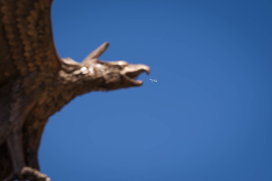 _DSC8780 Edit.