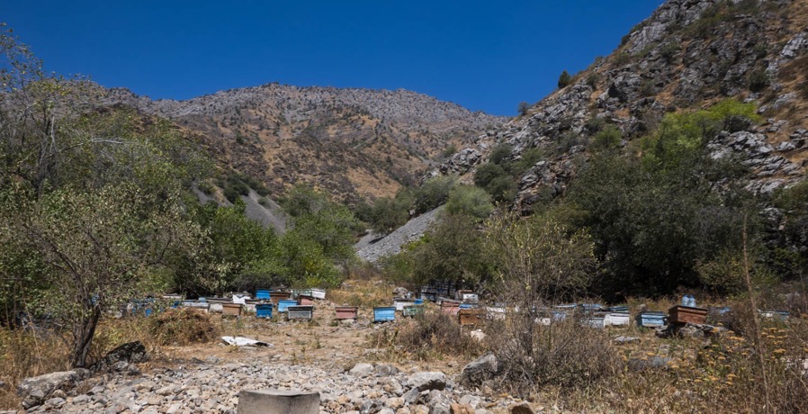 Charvoq jeep ride, Uzbekistan